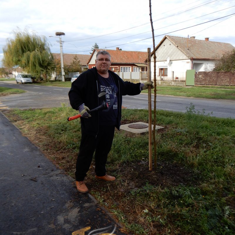 Közösségi faültetés Berettyóújfaluban 14